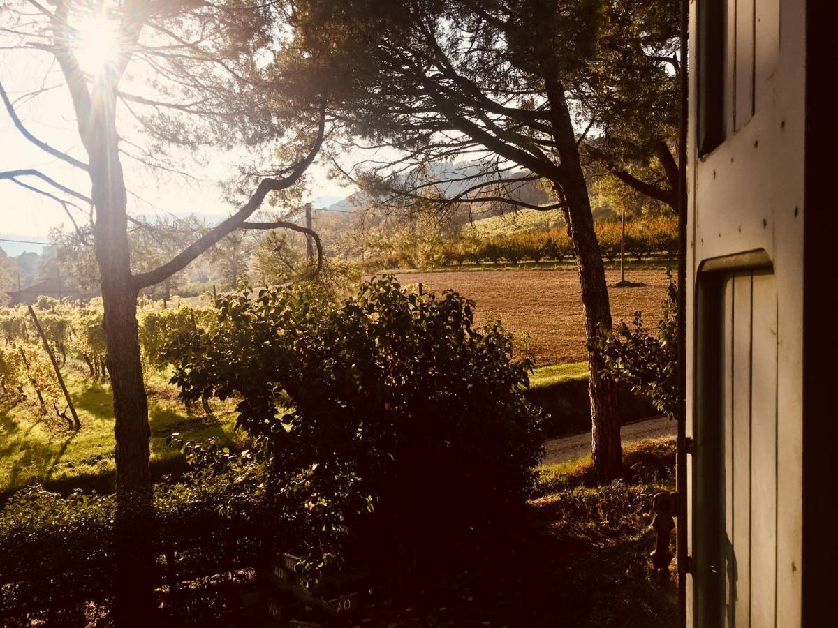 Il Cardello Locanda Casola Valsenio Экстерьер фото
