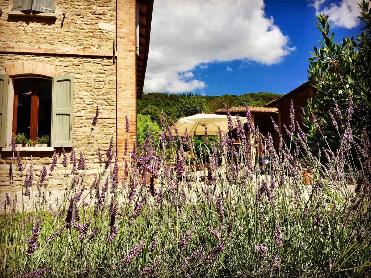 Il Cardello Locanda Casola Valsenio Экстерьер фото